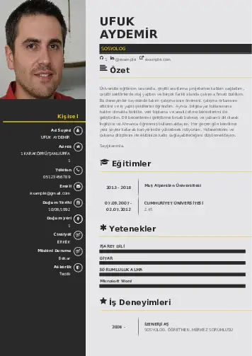 cv indir